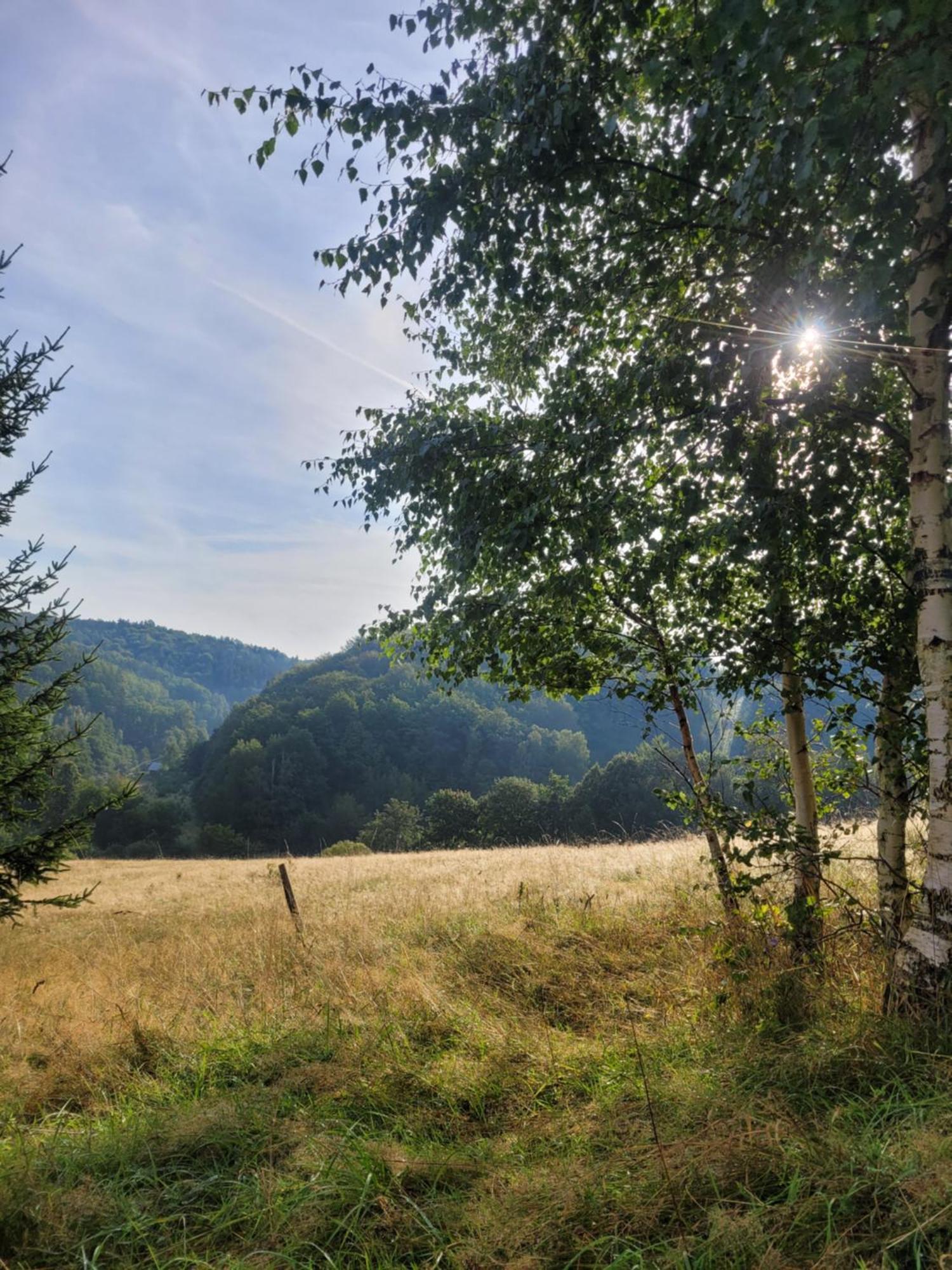 Forest Camp Dom W Gorach Sowich Michalkowa Exterior photo